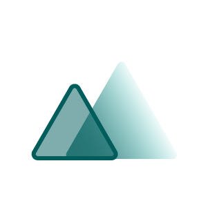 Card Icon